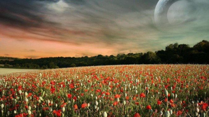 如何看待 Mac mini M4 支持可更换 SSD？